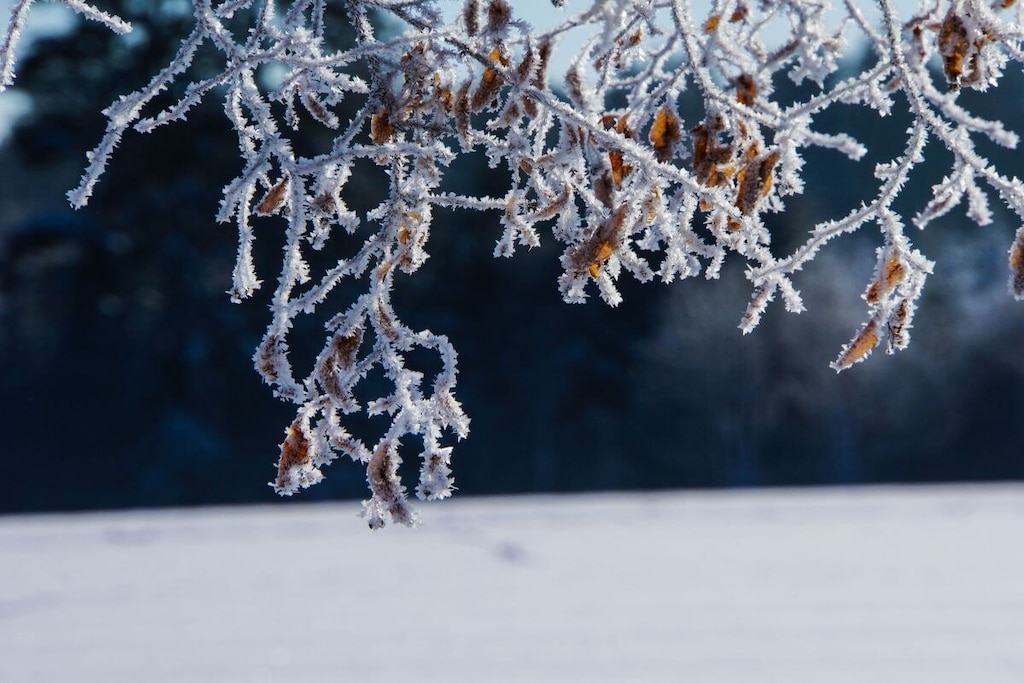 76631 - Niet-getagd