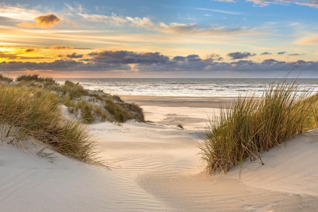 604118 - Untagged
