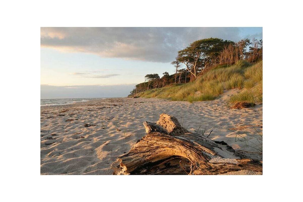 182197 - Niet-getagd