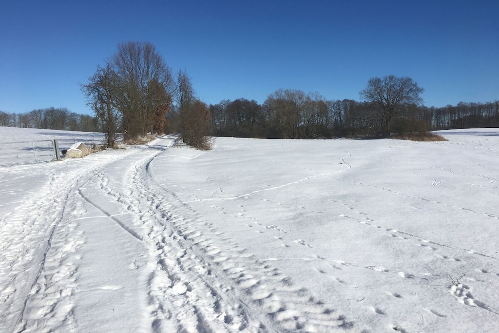 491558 - Niet-getagd