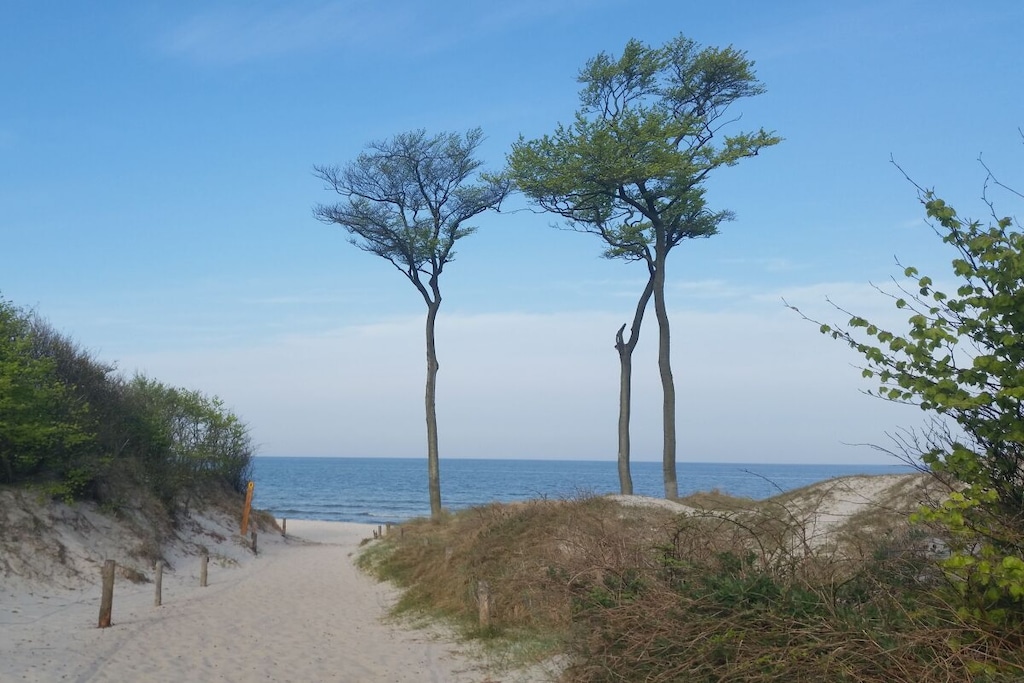 209057 - Niet-getagd
