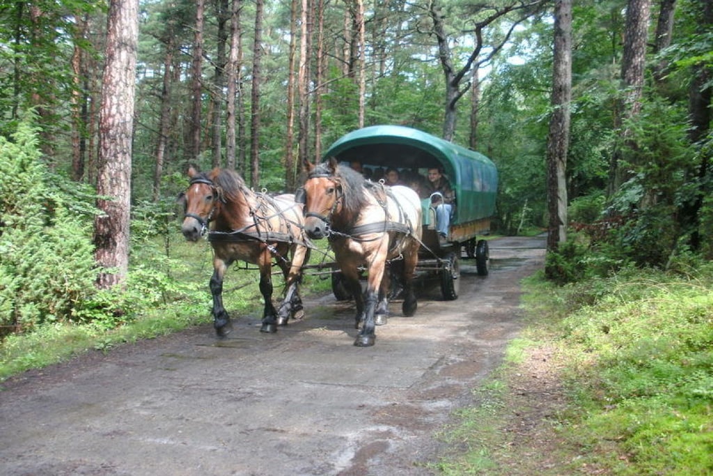 209046 - Niet-getagd