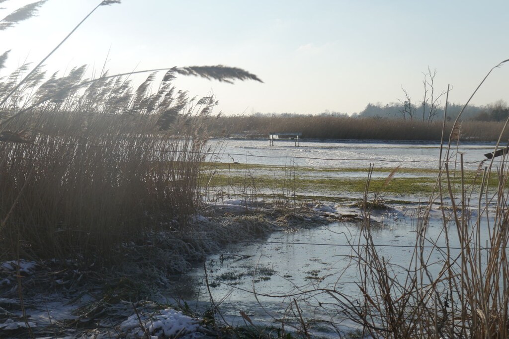 209046 - Niet-getagd
