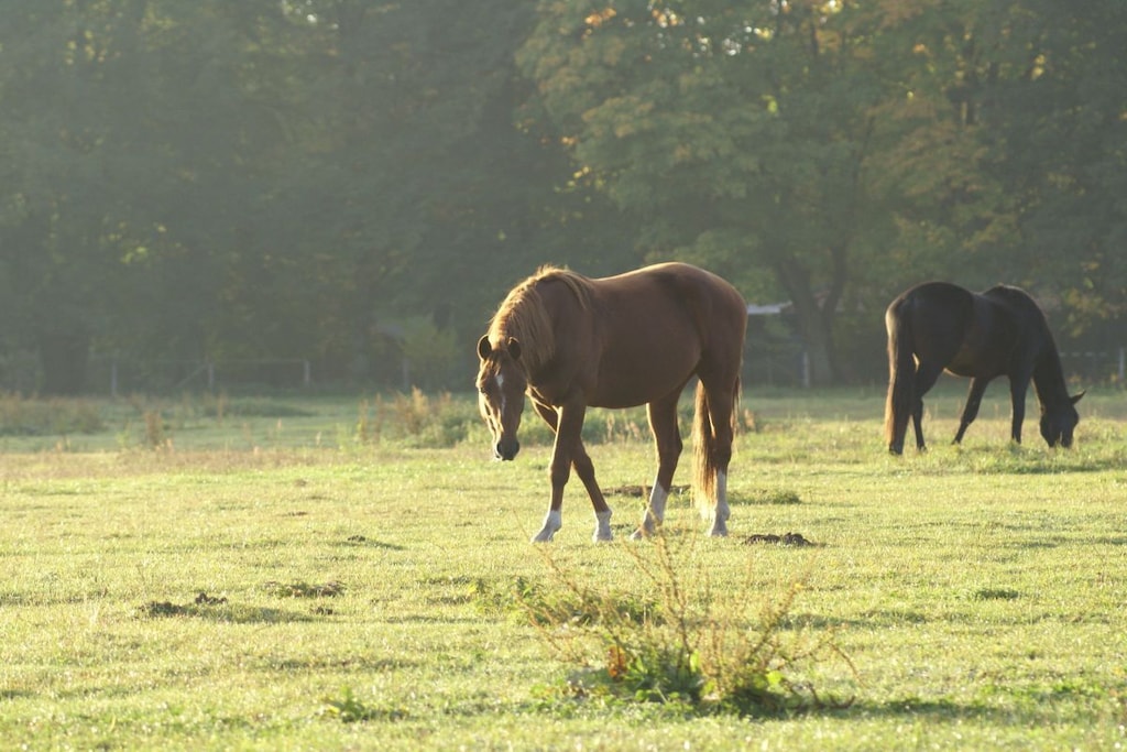 226467 - Niet-getagd
