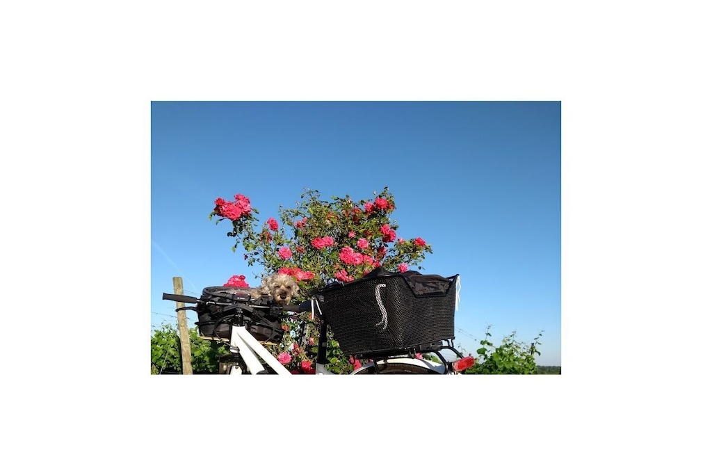 67269 - Niet-getagd
