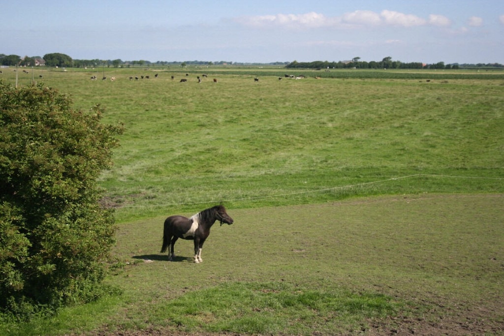 51855 - Niet-getagd