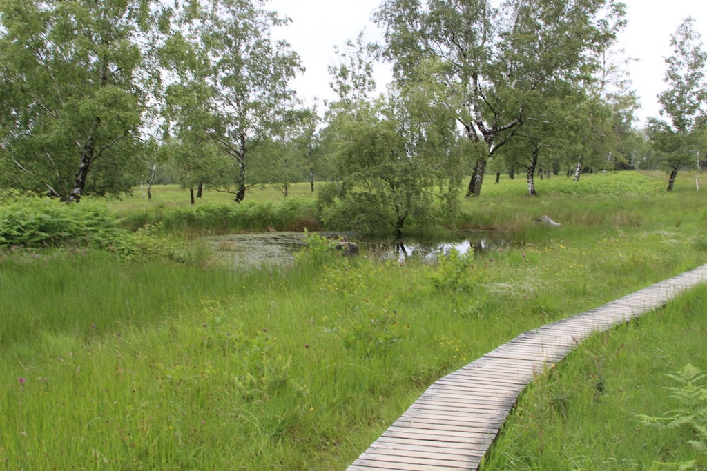187359 - Niet-getagd