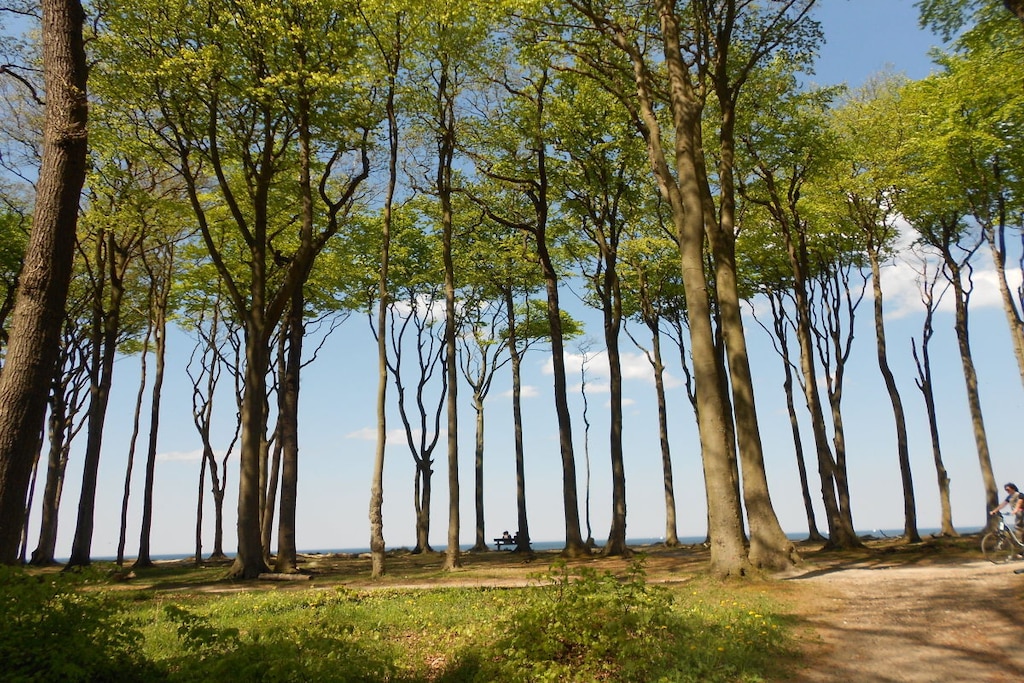 165417 - Niet-getagd