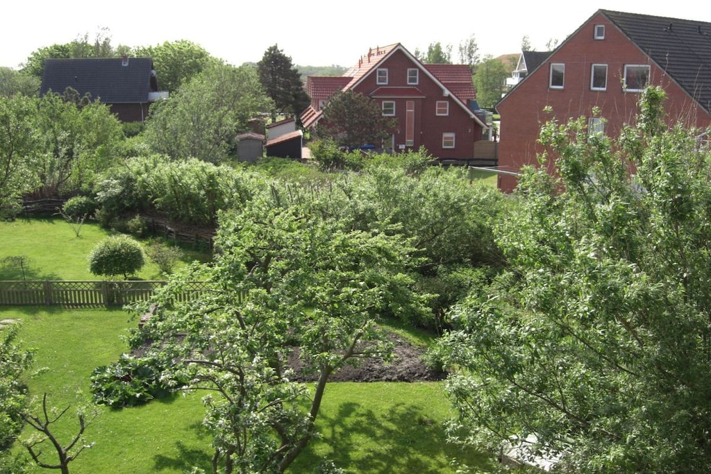 41247 - Niet-getagd