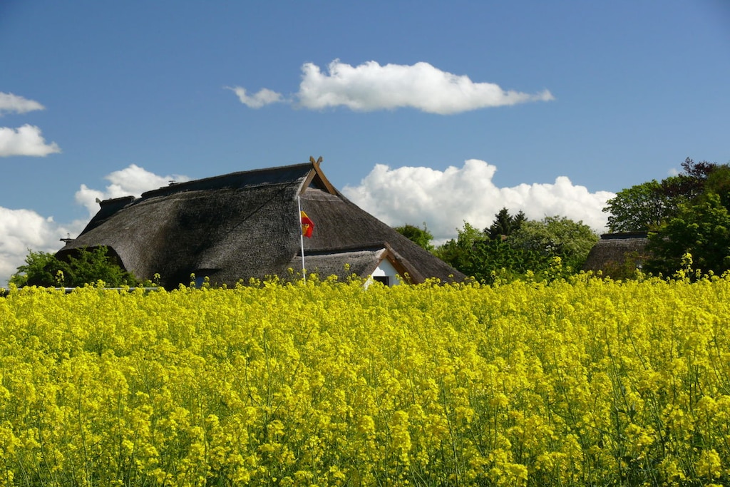 265708 - Niet-getagd