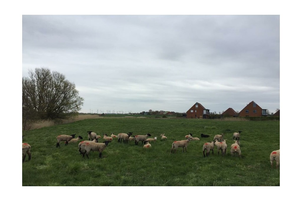 95070 - Niet-getagd
