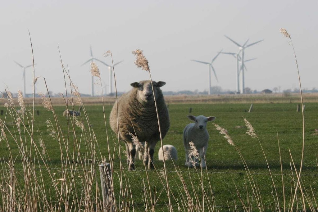95070 - Niet-getagd