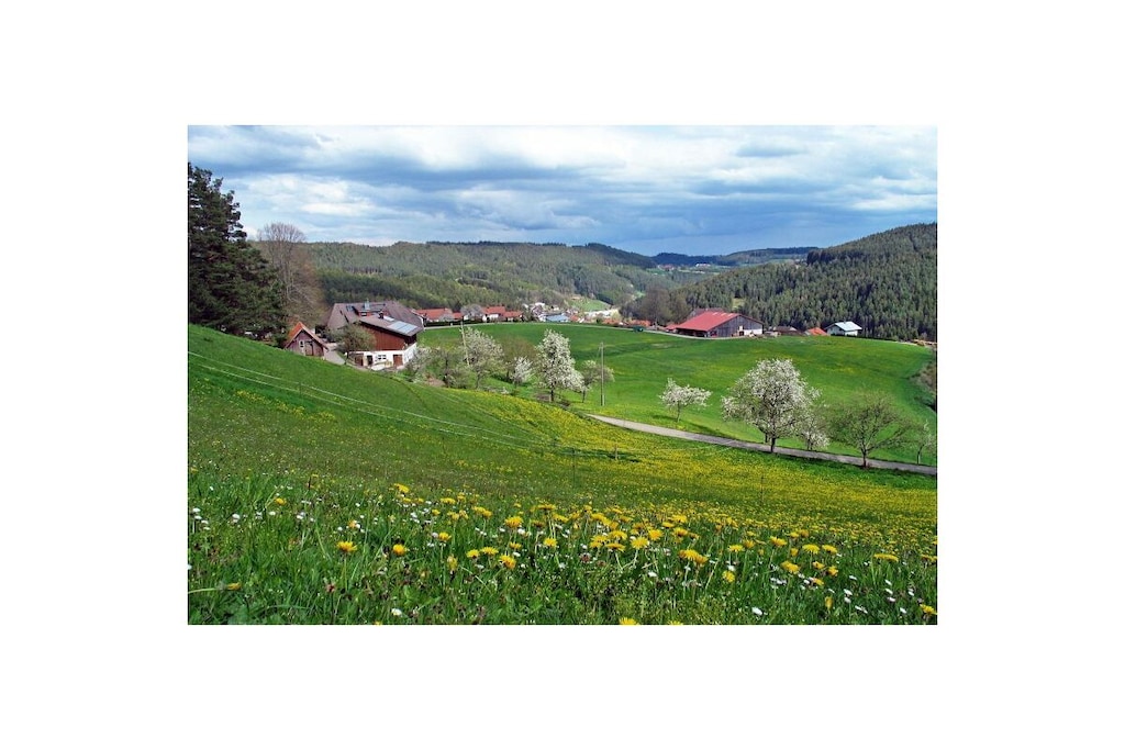 545542 - Nicht zugeordnet