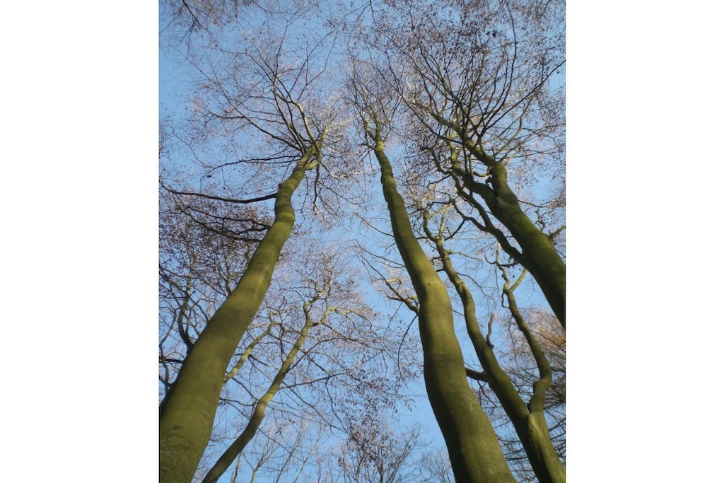 13154 - Niet-getagd