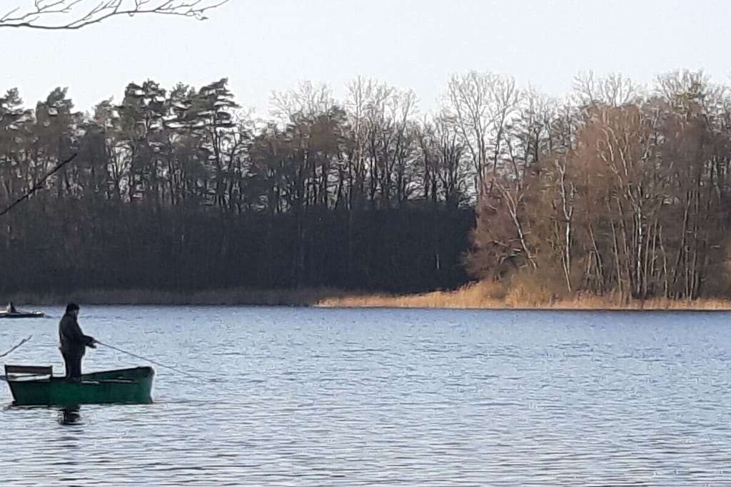 132353 - Niet-getagd