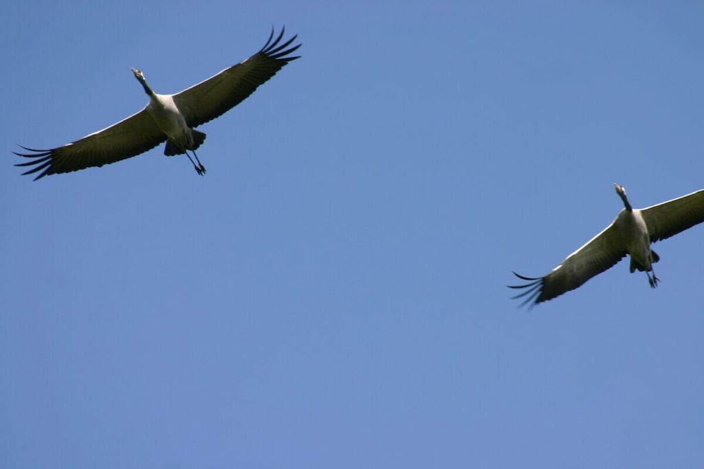 132353 - Niet-getagd