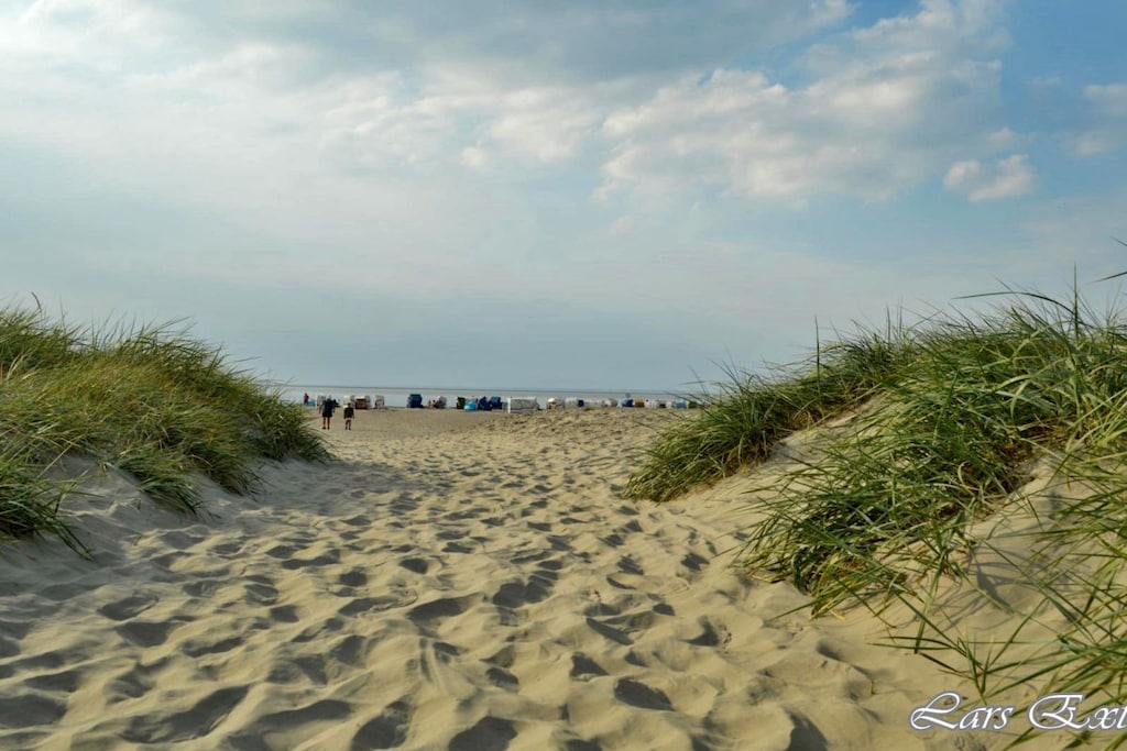 106095 - Niet-getagd