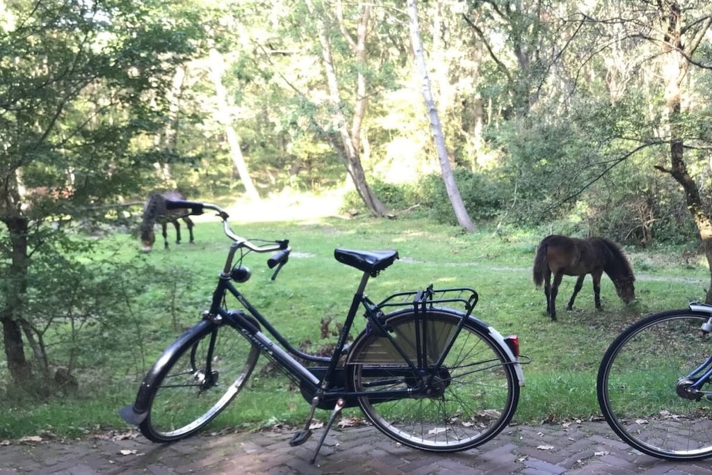 76468 - Niet-getagd