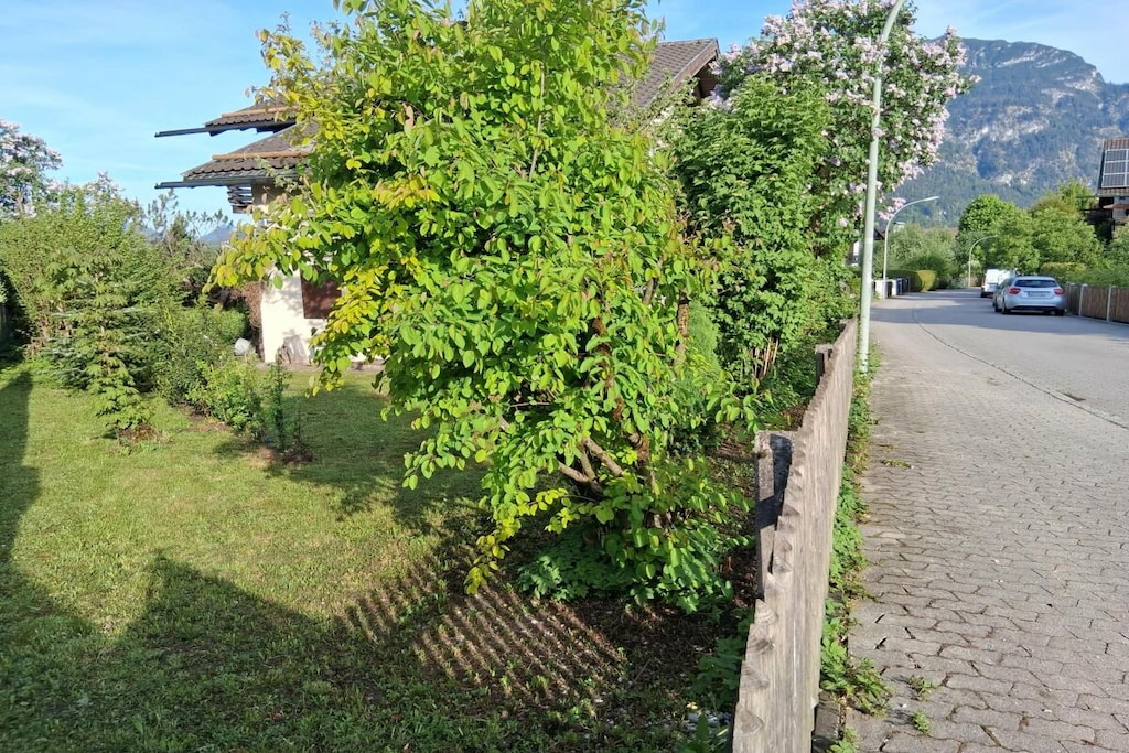 42156 - Non tagué
