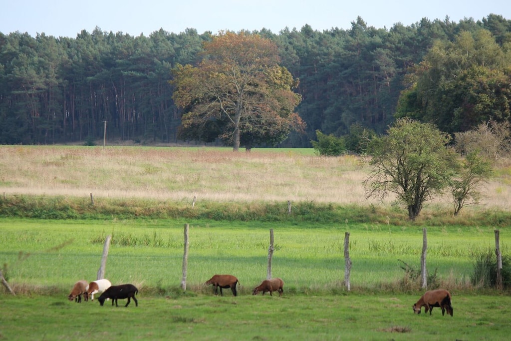 214375 - Nicht zugeordnet