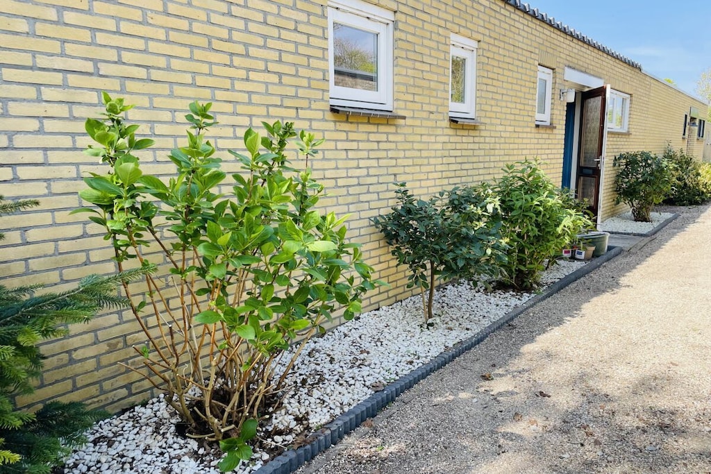493790 - Non tagué