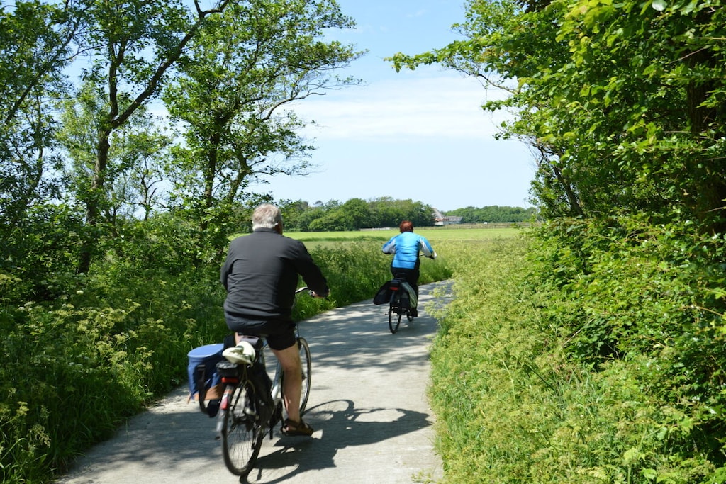 413185 - Niet-getagd