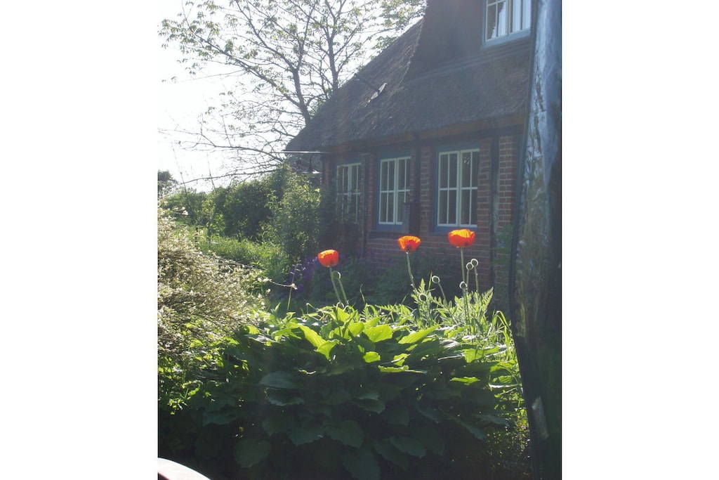 225295 - Niet-getagd