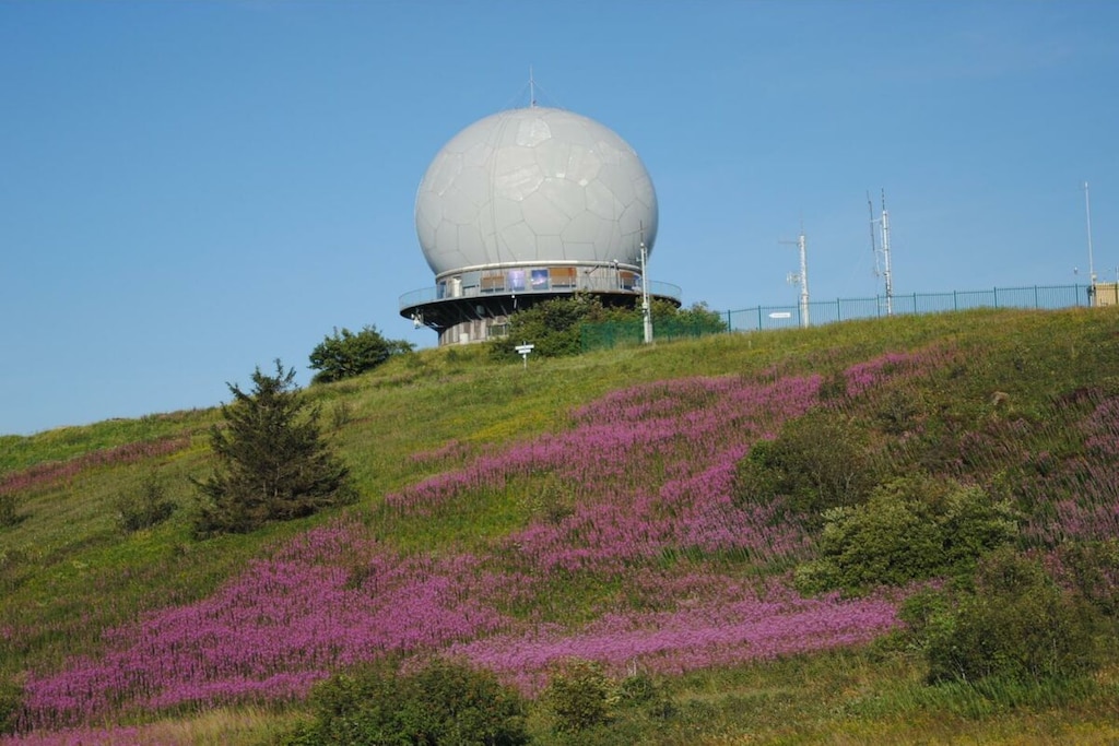 599529