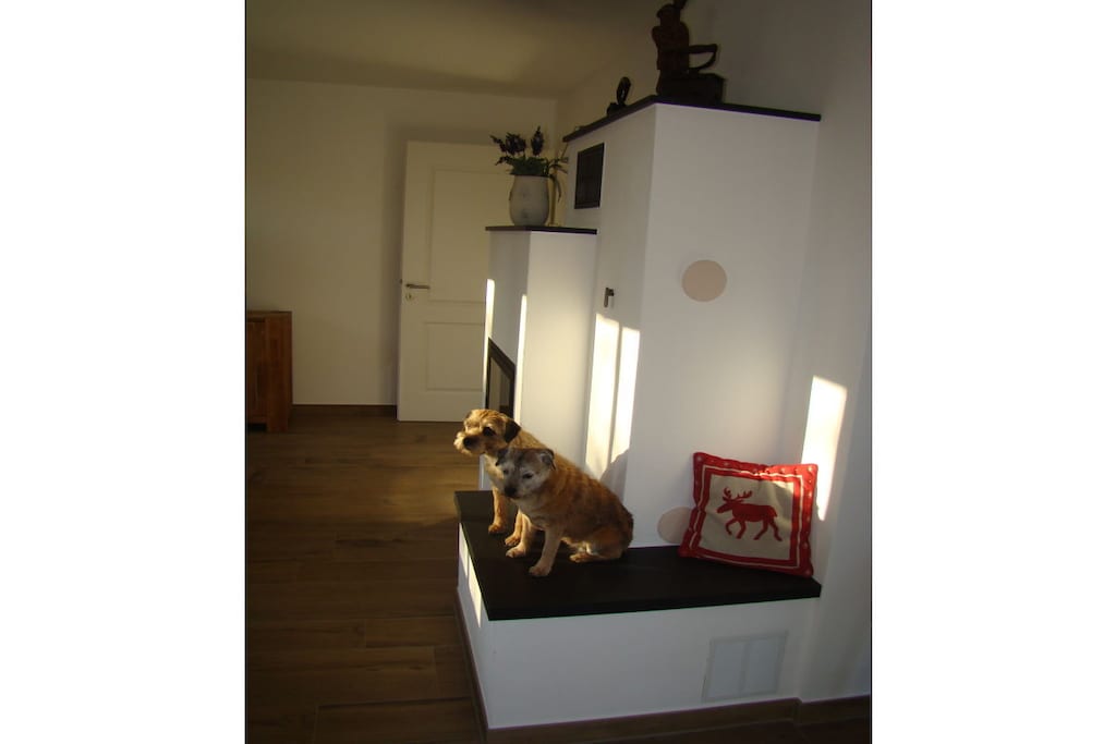 244460 - Niet-getagd