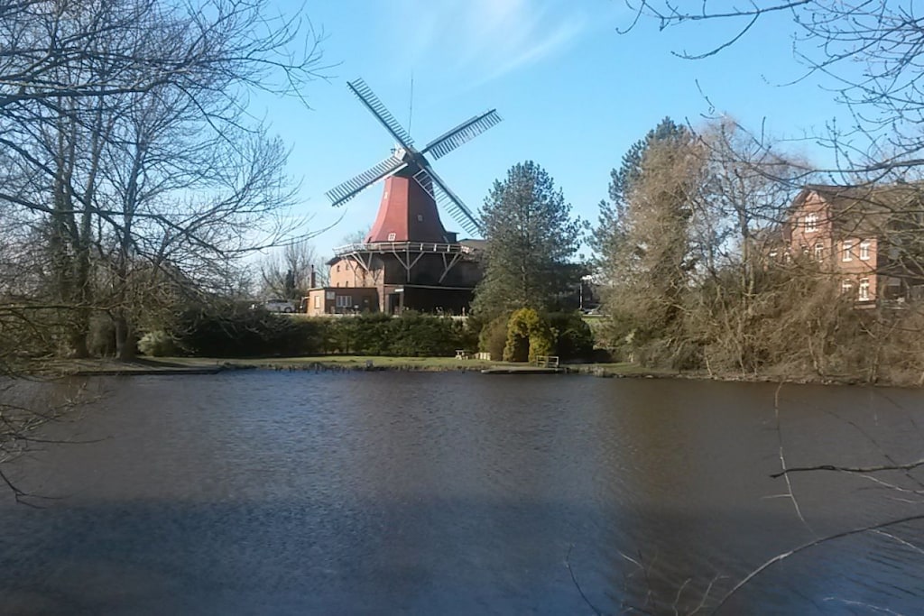 224206 - Niet-getagd