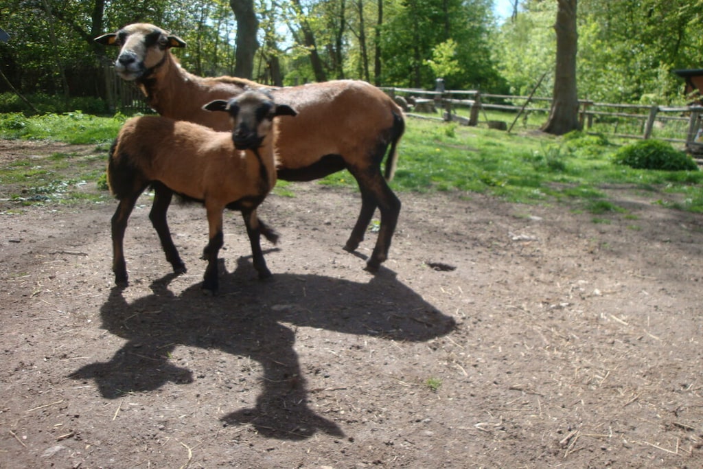 26634 - Niet-getagd
