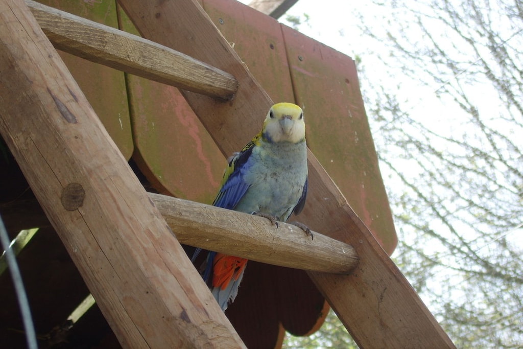 26634 - Niet-getagd
