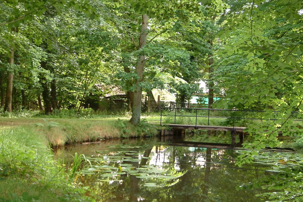 5395 - Non tagué
