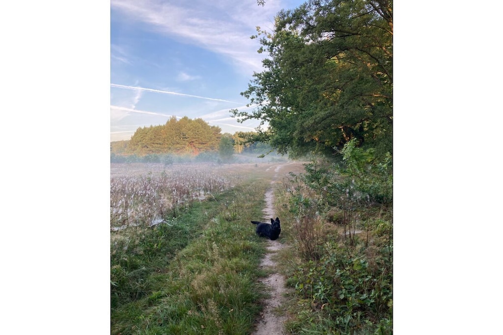 786903 - Niet-getagd