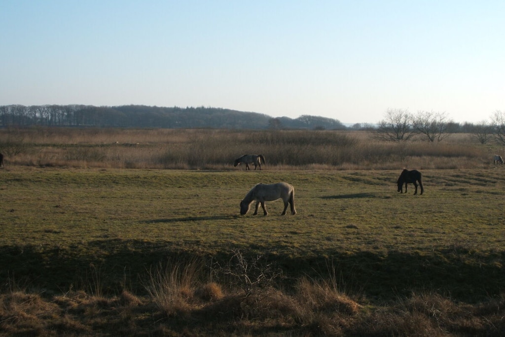 340691 - Niet-getagd