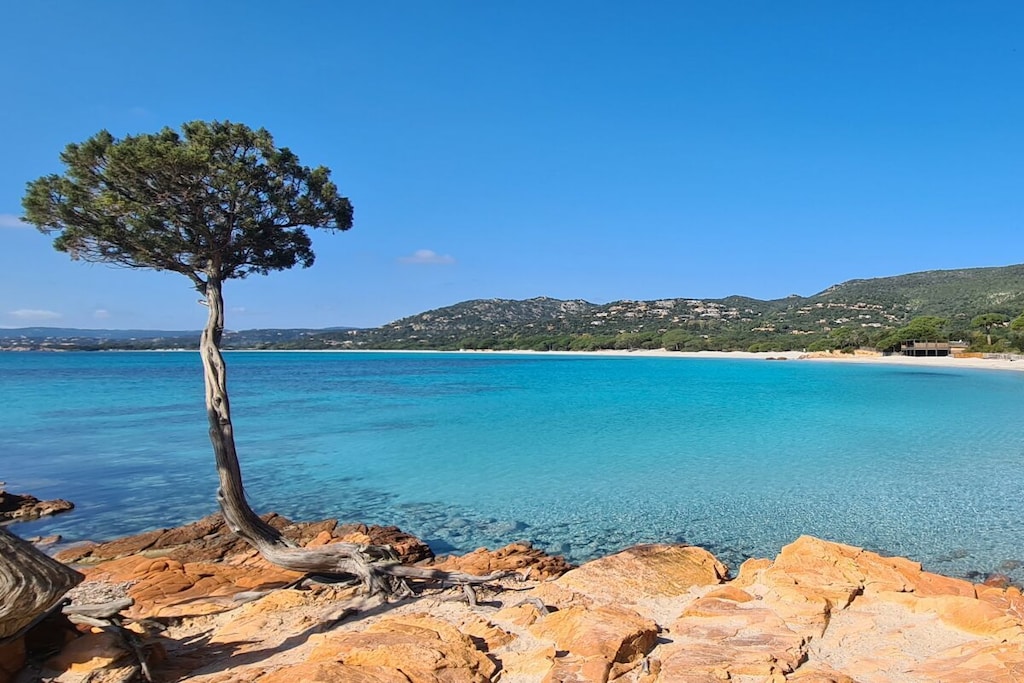 753883 - Niet-getagd
