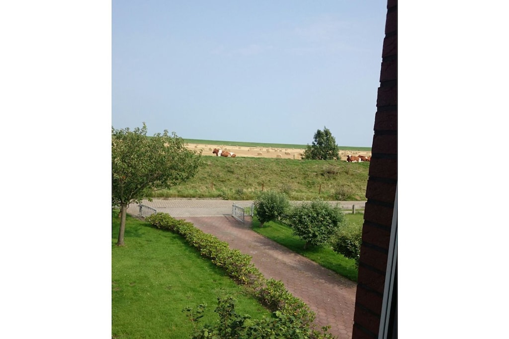 123868 - Niet-getagd