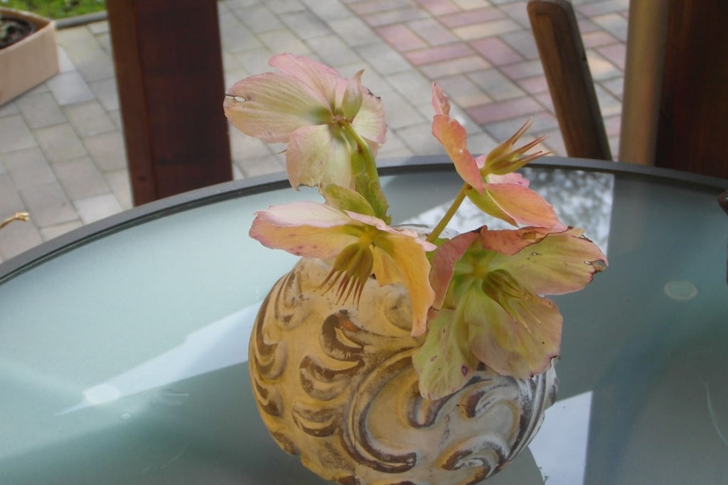18354 - Niet-getagd