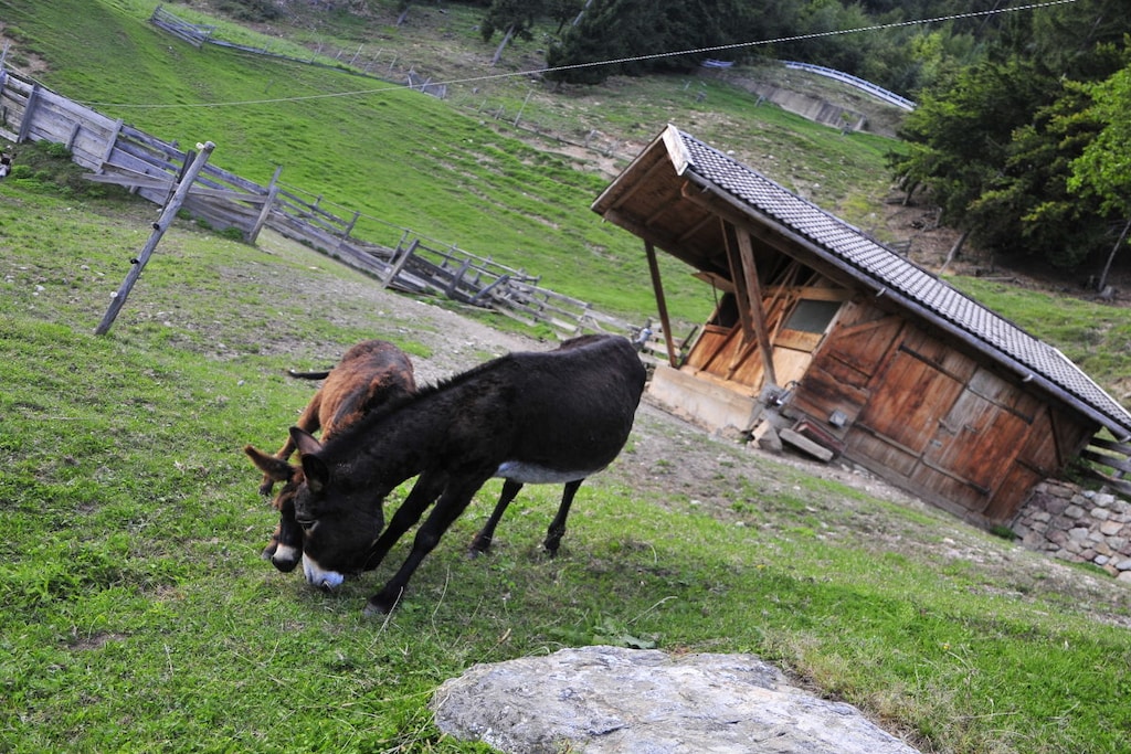 58530 - Non tagué