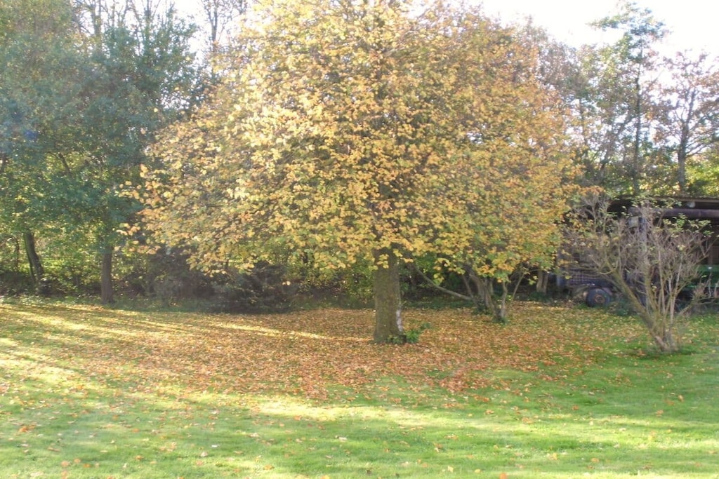 19059 - Non tagué
