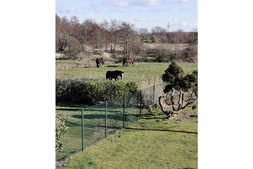 72404 - Niet-getagd