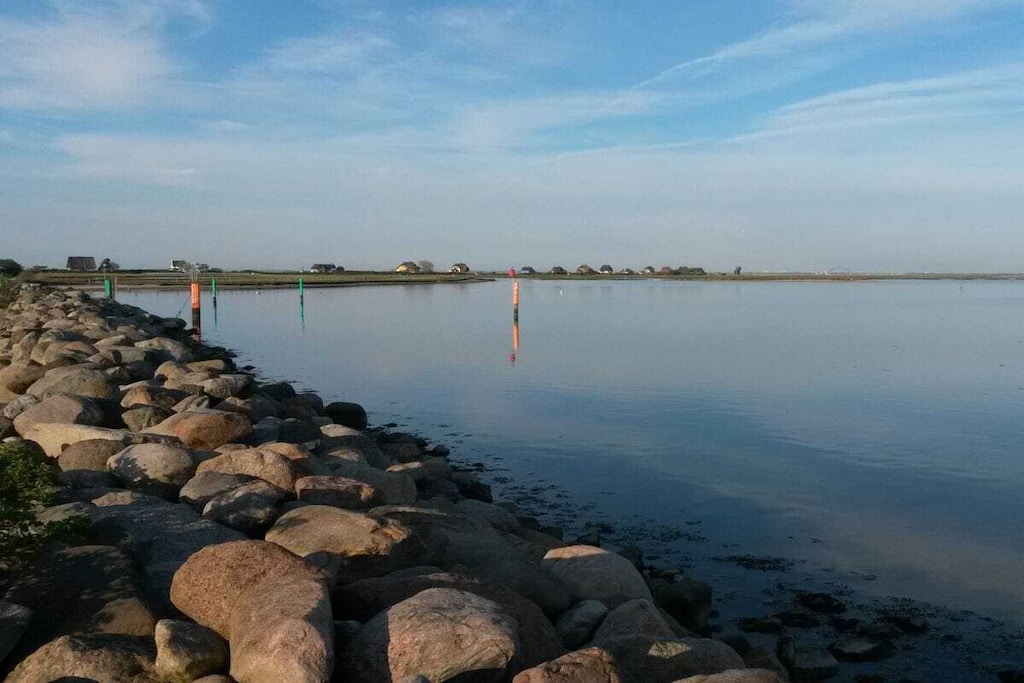 77941 - Niet-getagd