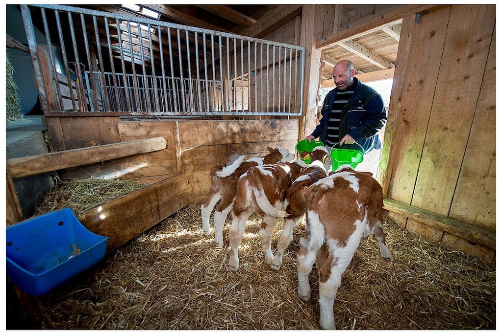 268557 - Non tagué