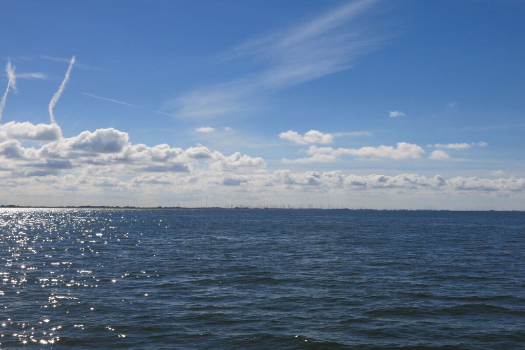 205338 - Niet-getagd