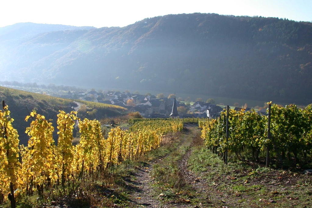 294004 - Nicht zugeordnet