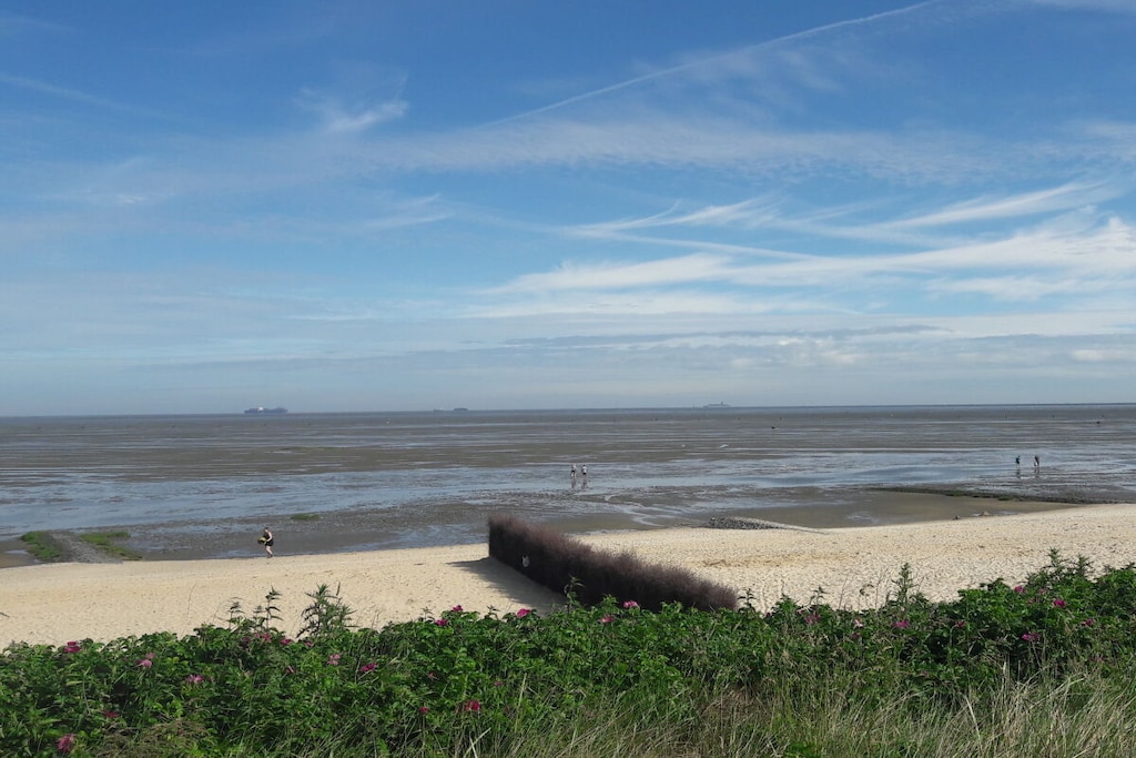 380566 - Niet-getagd