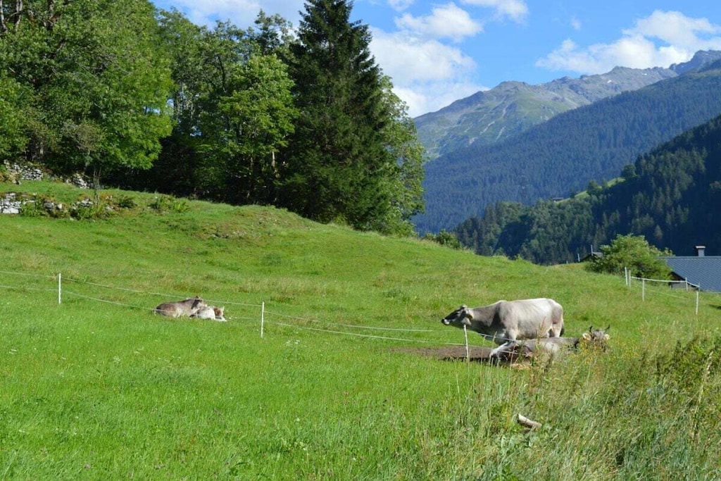 258436 - Nicht zugeordnet