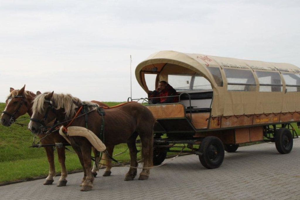 57394 - Niet-getagd
