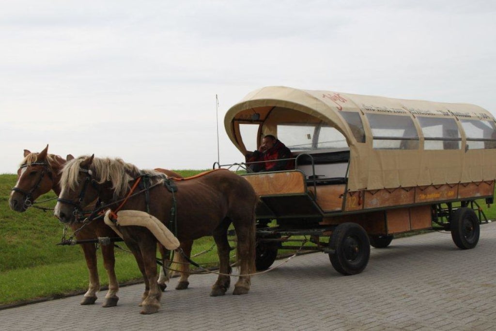 56174 - Niet-getagd