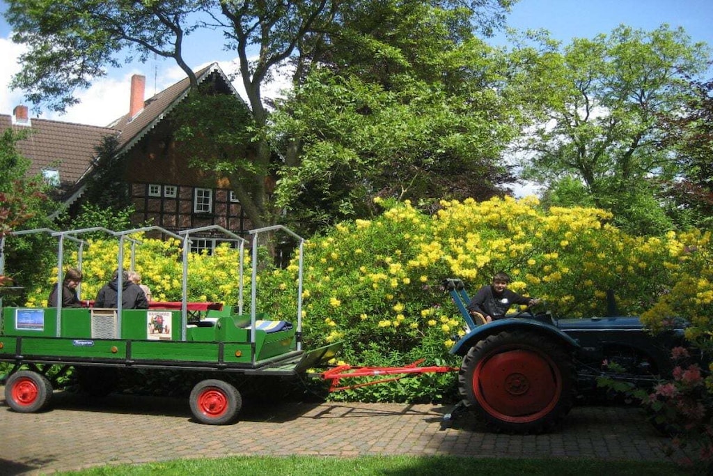 21852 - Niet-getagd